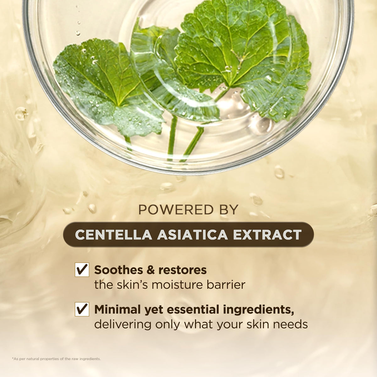 SKIN1004 ampoule with centella leaves representing natural Madagascar extract benefit