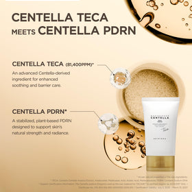 SKIN1004 cream applied on hand illustrating quick absorption benefit