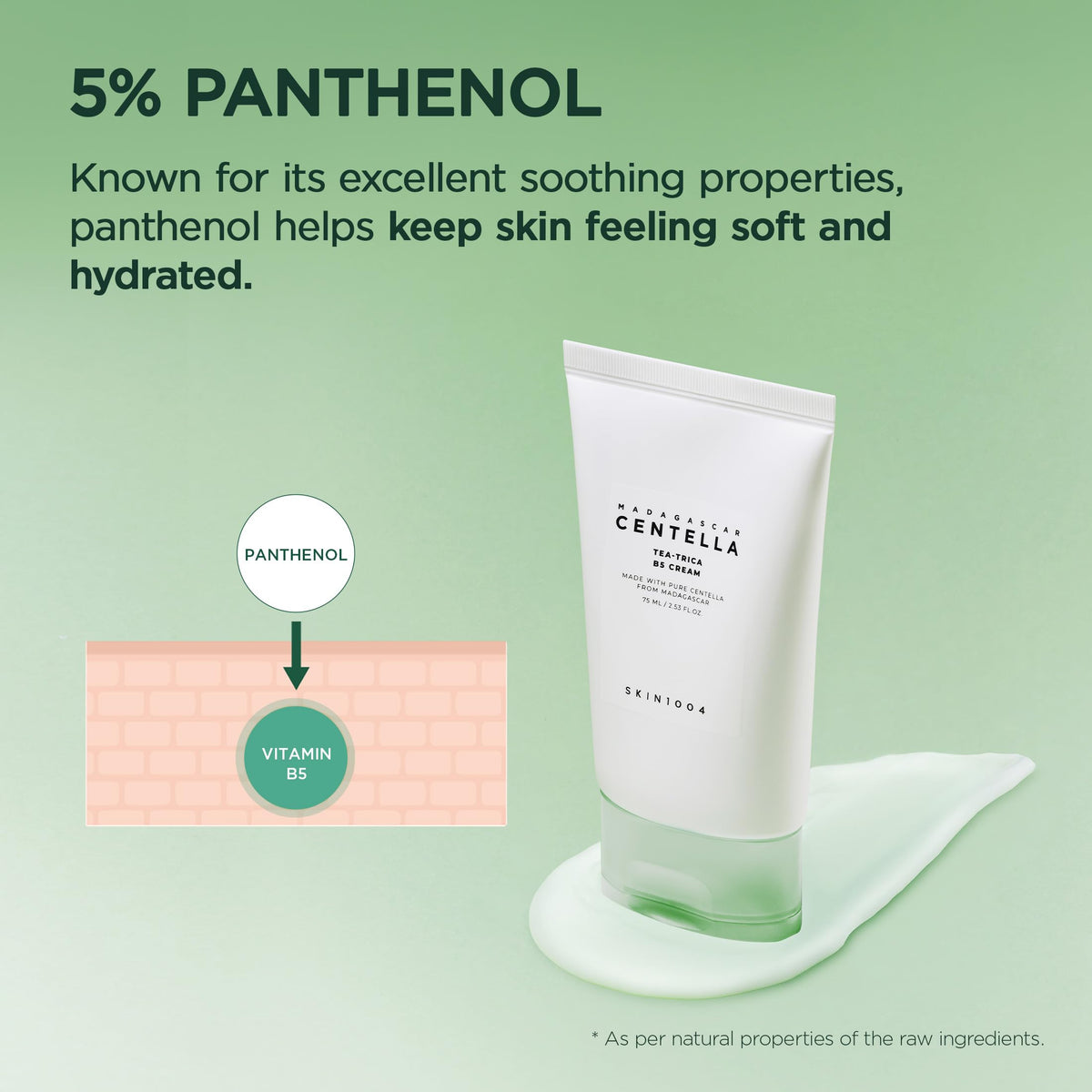 SKIN1004 Centella leaf close-up showing calming botanical extract benefit
