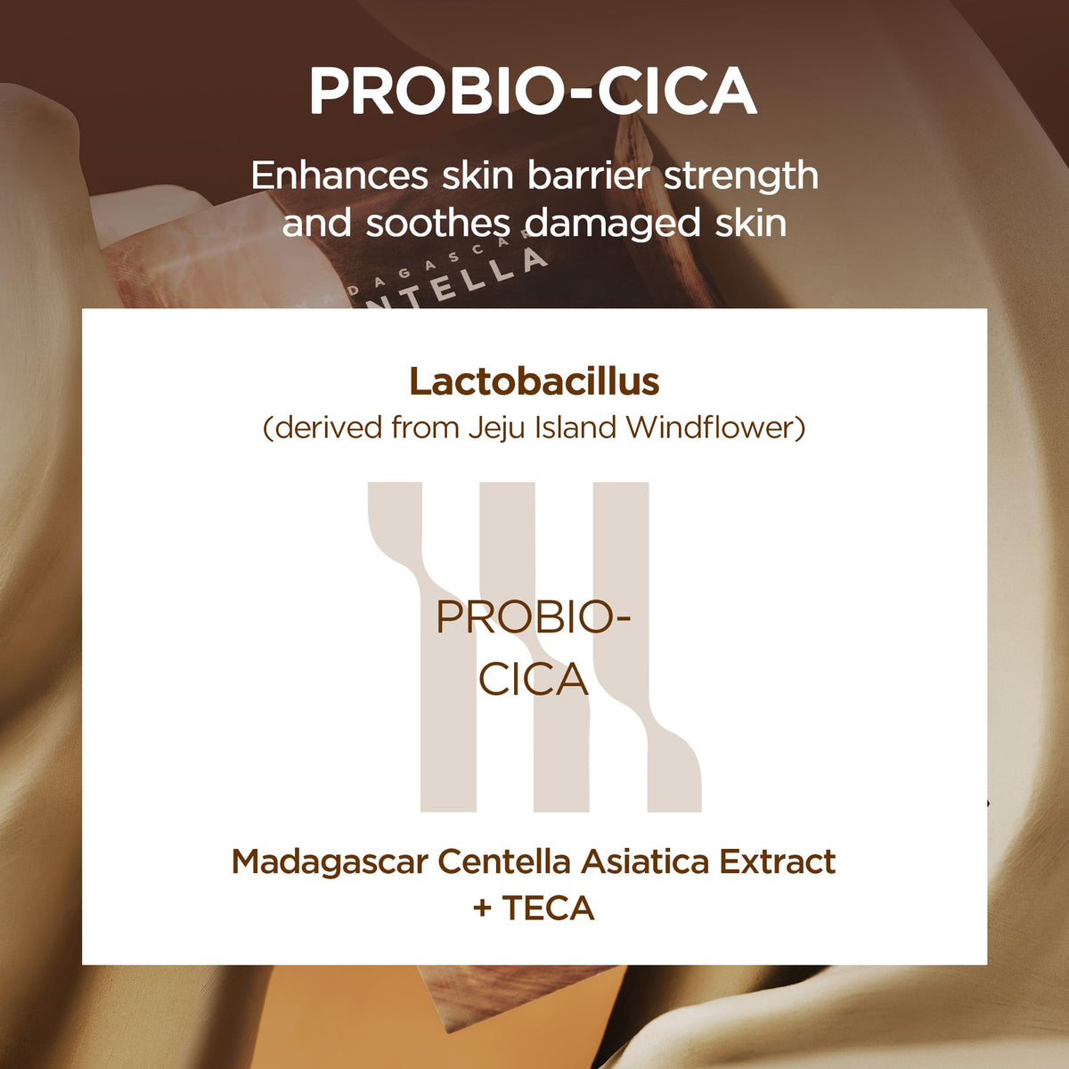SKIN1004 Centella leaves from Madagascar highlighting calming ingredient