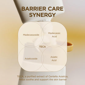 SKIN1004 jar held in hand showing scale and portability benefit: travel friendly size