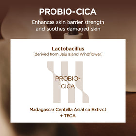 SKIN1004 ingredient label highlighting ceramides and centella for repair