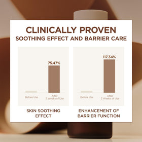 SKIN1004 ingredient view featuring ceramide NP supporting skin barrier