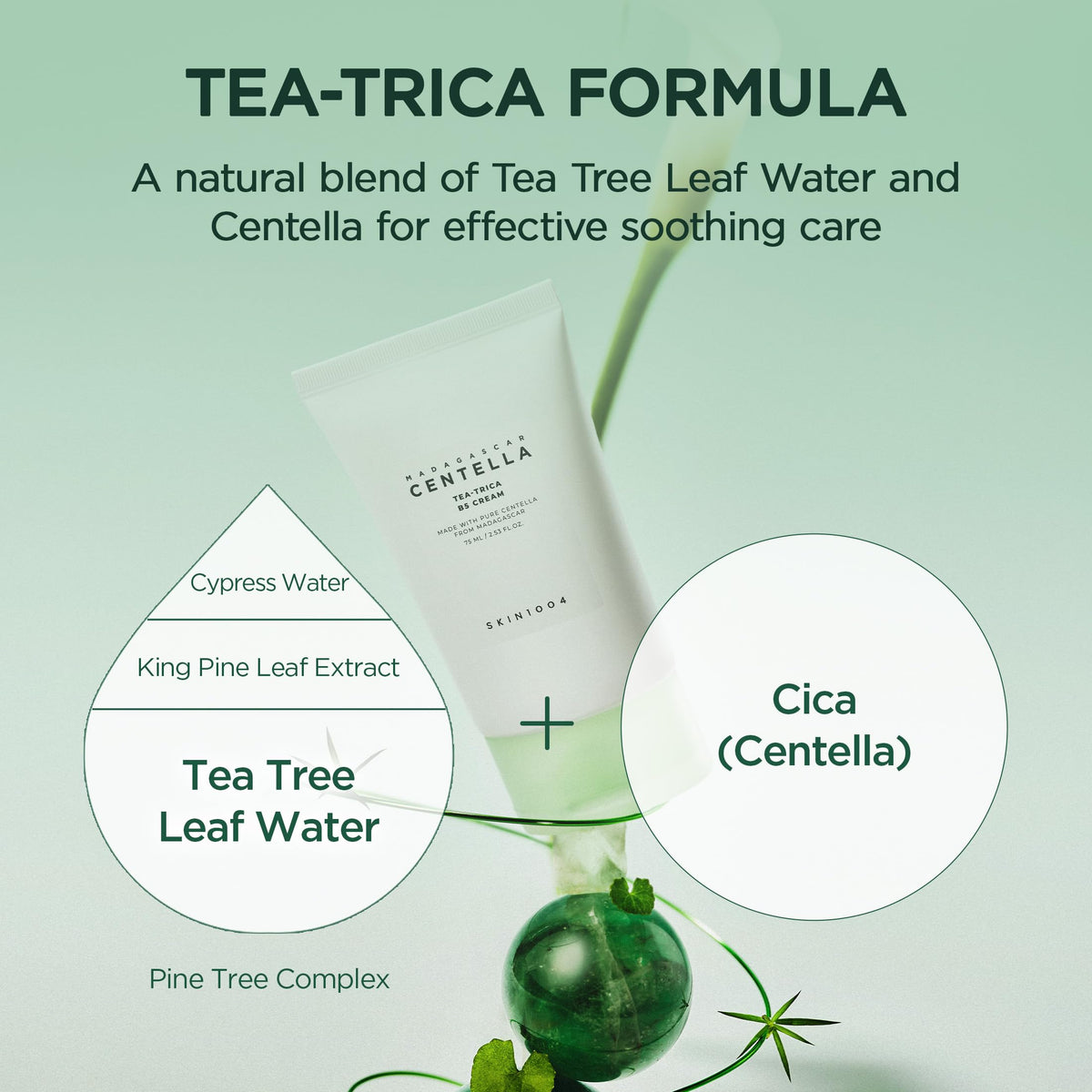 SKIN1004 tea tree leaf water splash illustrating balancing and clarifying action