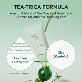 SKIN1004 tea tree leaf water splash illustrating balancing and clarifying action