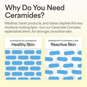 Skinfix ingredients flatlay featuring niacinamide, ceramides and humectants benefit