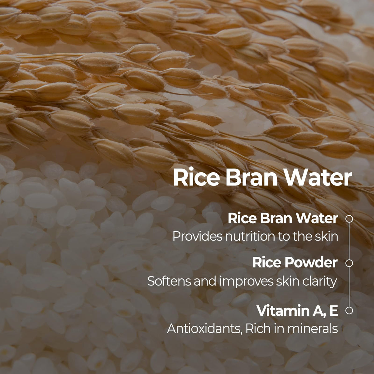 SKINFOOD rice ingredient shot highlighting natural rice extract and nourishing benefit