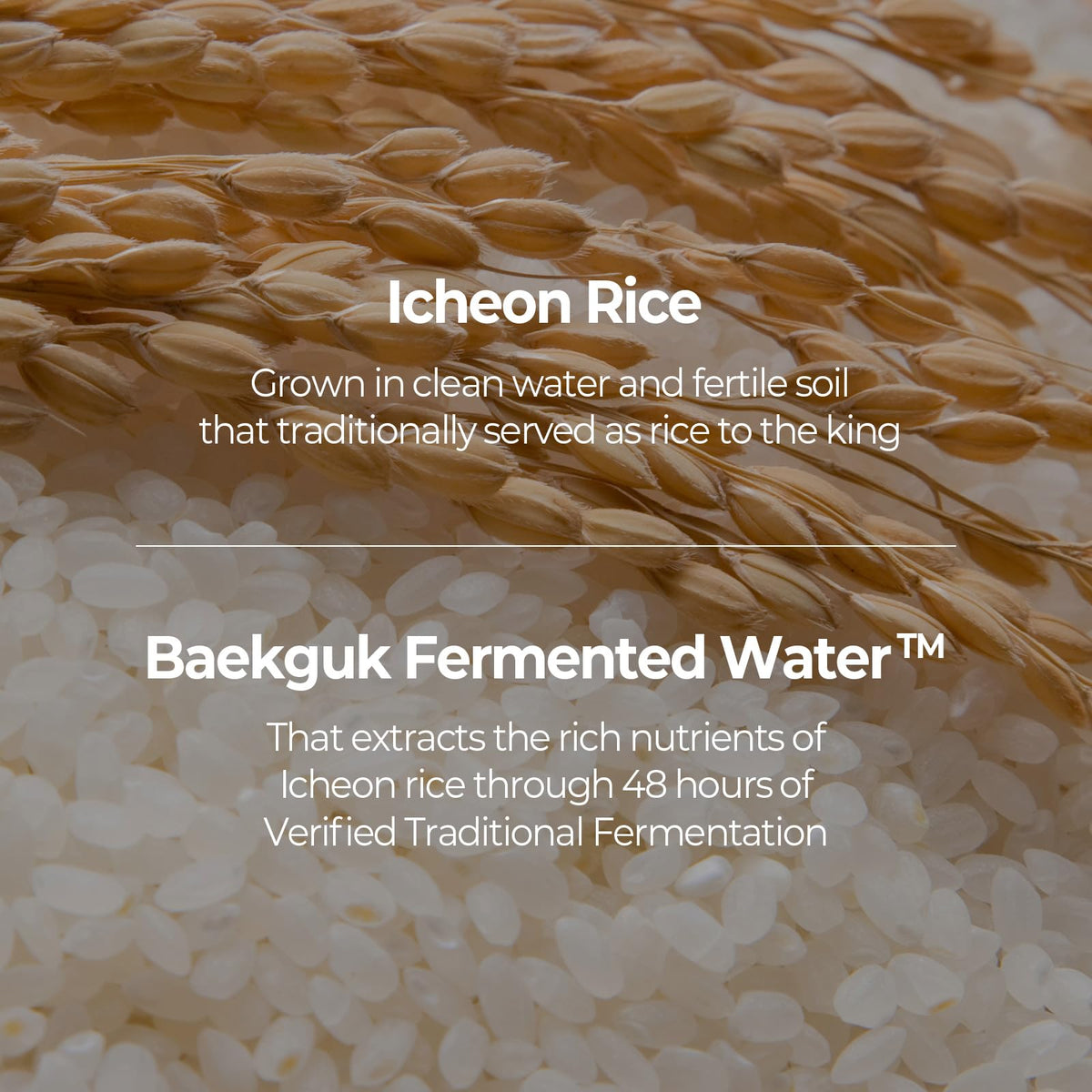 SKINFOOD close-up label highlighting ingredients and fermentation benefit