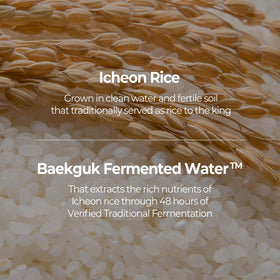SKINFOOD close-up label highlighting ingredients and fermentation benefit