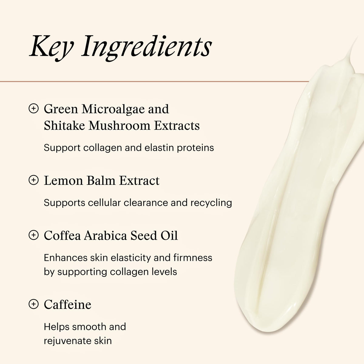 SkinMedica bottle next to a standard 6 fl oz reference to show actual size