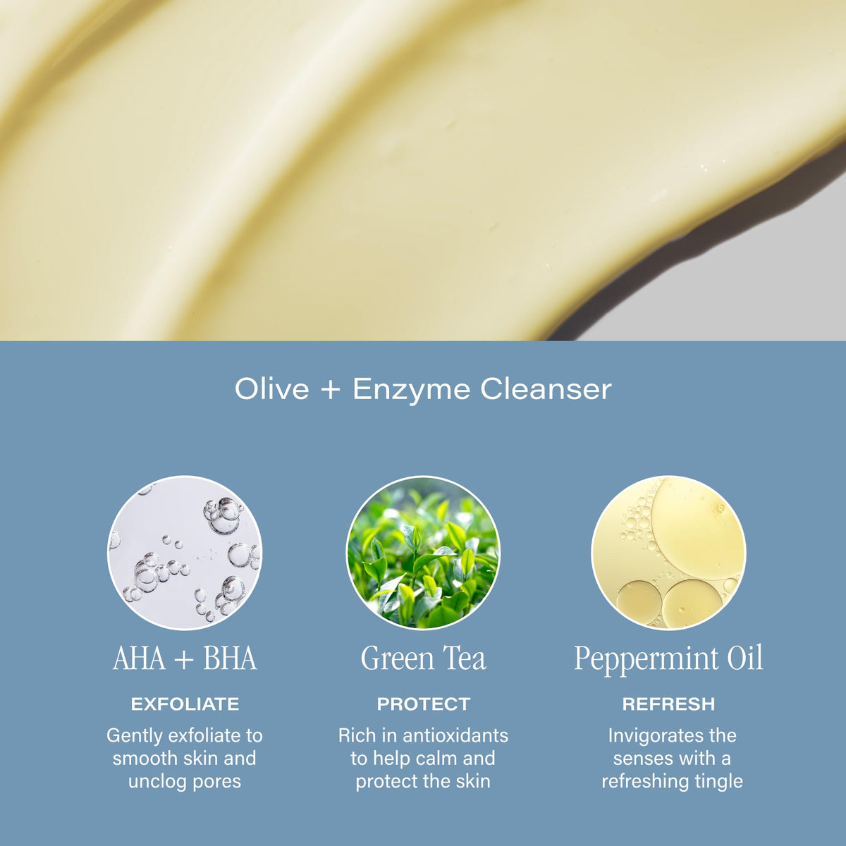 SKINN natural ingredients display with green tea mint and olive illustrating antioxidant benefit