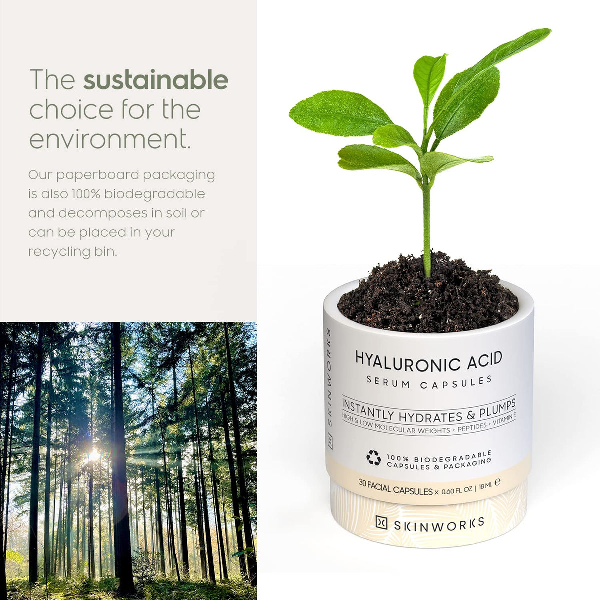 skinworks label and ingredients list emphasizing clean unscented formulation