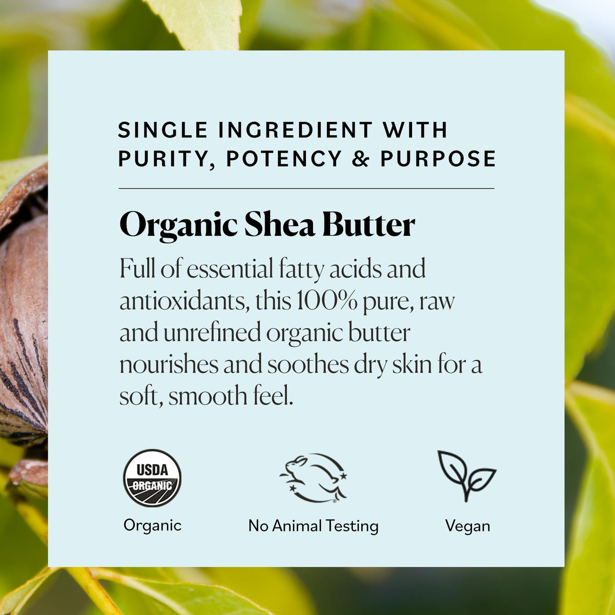 Sky Organics 15 oz jar next to a ruler to show scale and generous quantity for long-lasting use