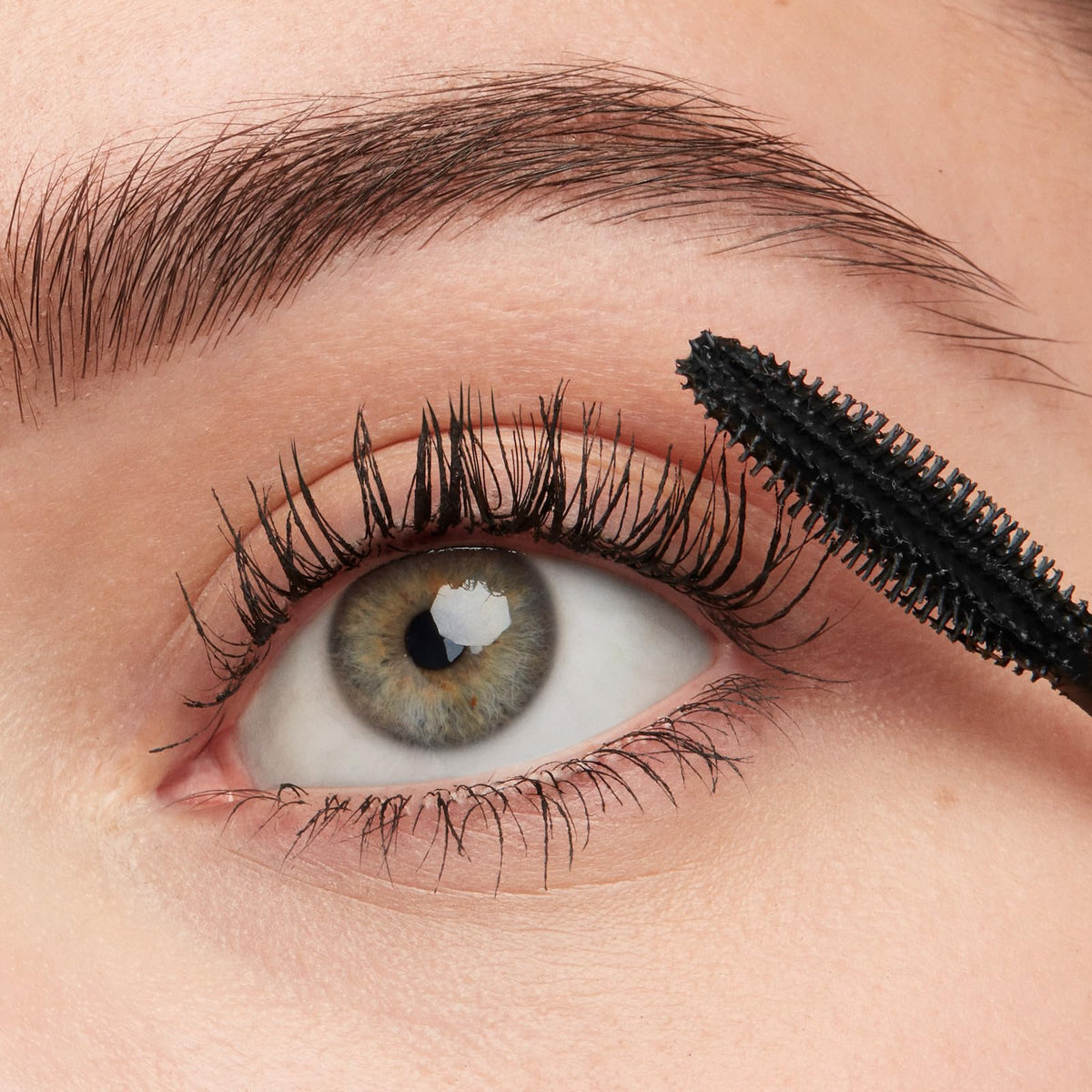 Smashbox Super Fan bristles detail highlighting comb and firm bristles for separation and build