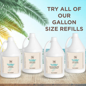 Soapbox gallon next to 500ml bottle demonstrating bulk value