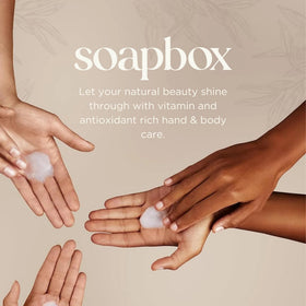 Soapbox in kitchen sink while washing hands for everyday use