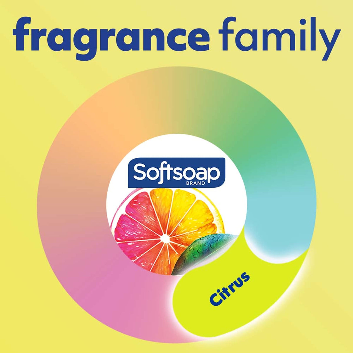 Softsoap six-pack arranged for storage and bulk value presentation