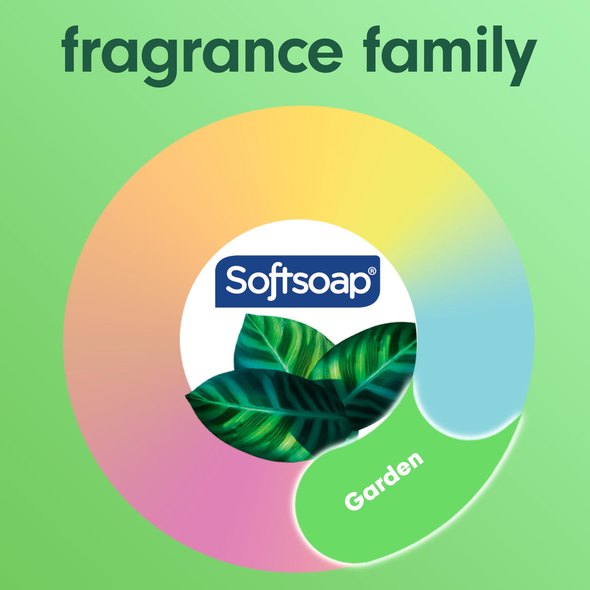 Four Softsoap eucalyptus and mint bottles grouped to show 4-pack convenience