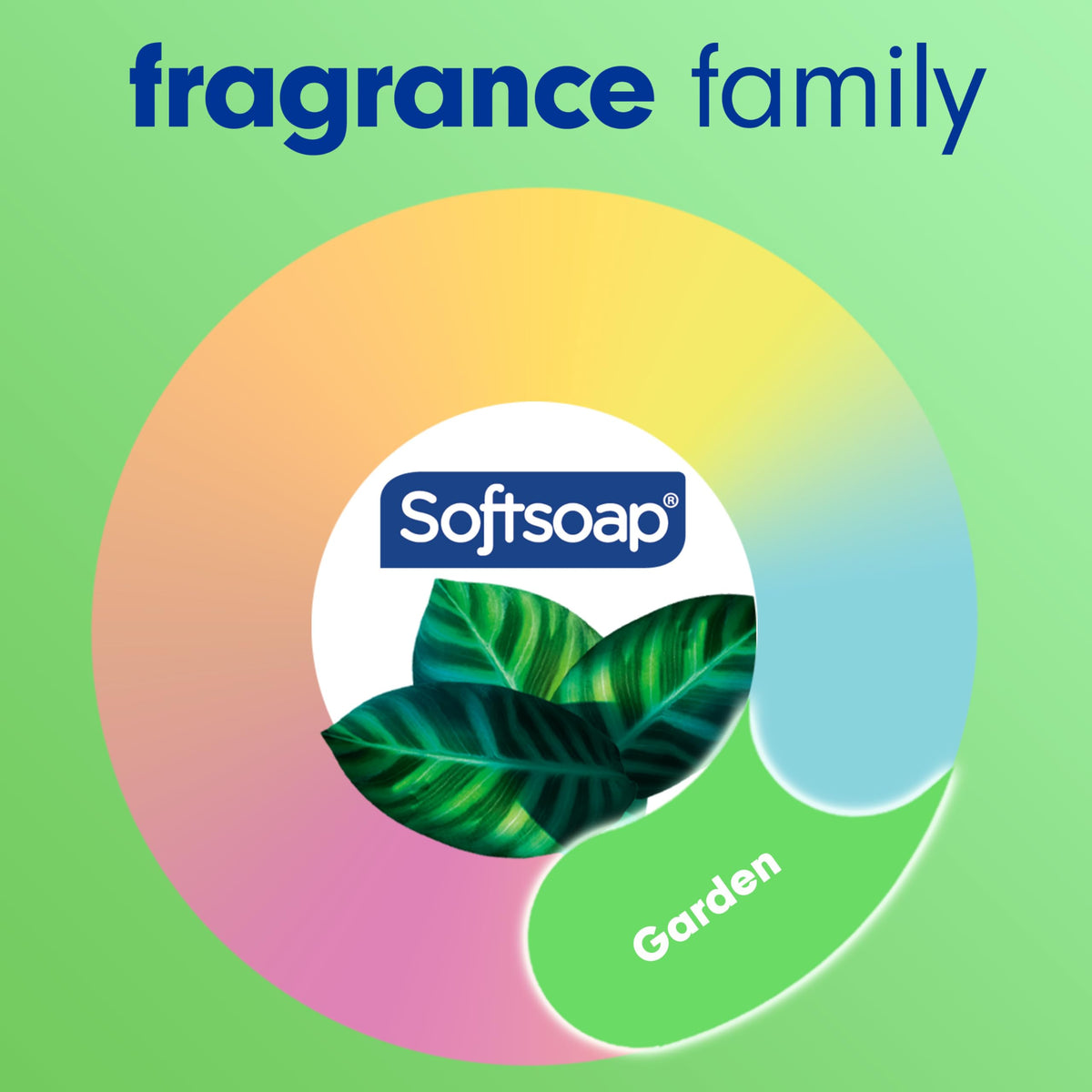 Creamy lather texture from Softsoap eucalyptus and mint showing gentle hydration