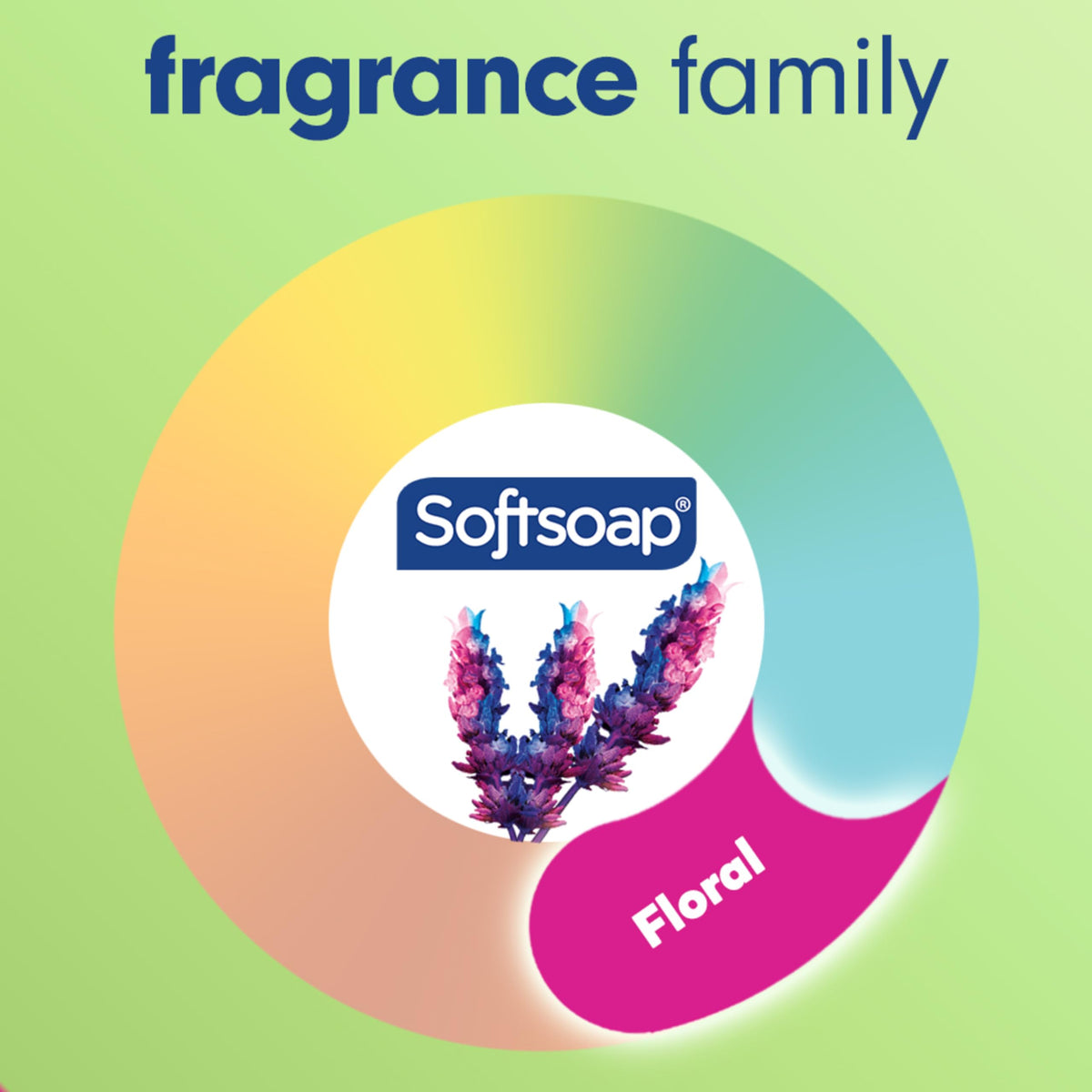 Softsoap being poured and lathered to demonstrate effective cleaning