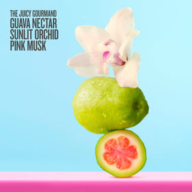 Sol de Janeiro guava leaf ingredient close-up highlighting antioxidant benefit