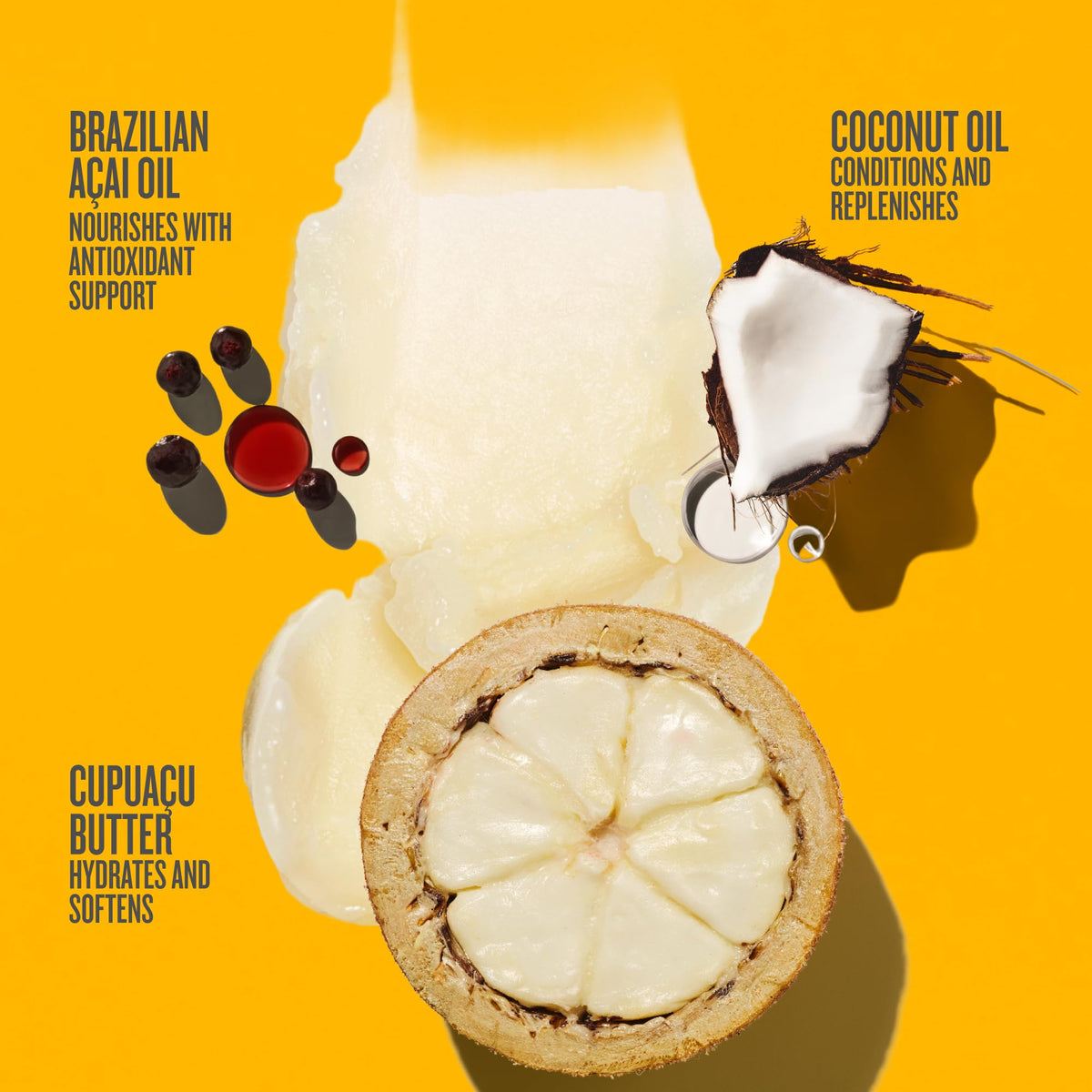 Sol de Janeiro coconut oil ingredient visual illustrating replenishing benefit