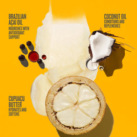 Sol de Janeiro coconut oil ingredient visual illustrating replenishing benefit