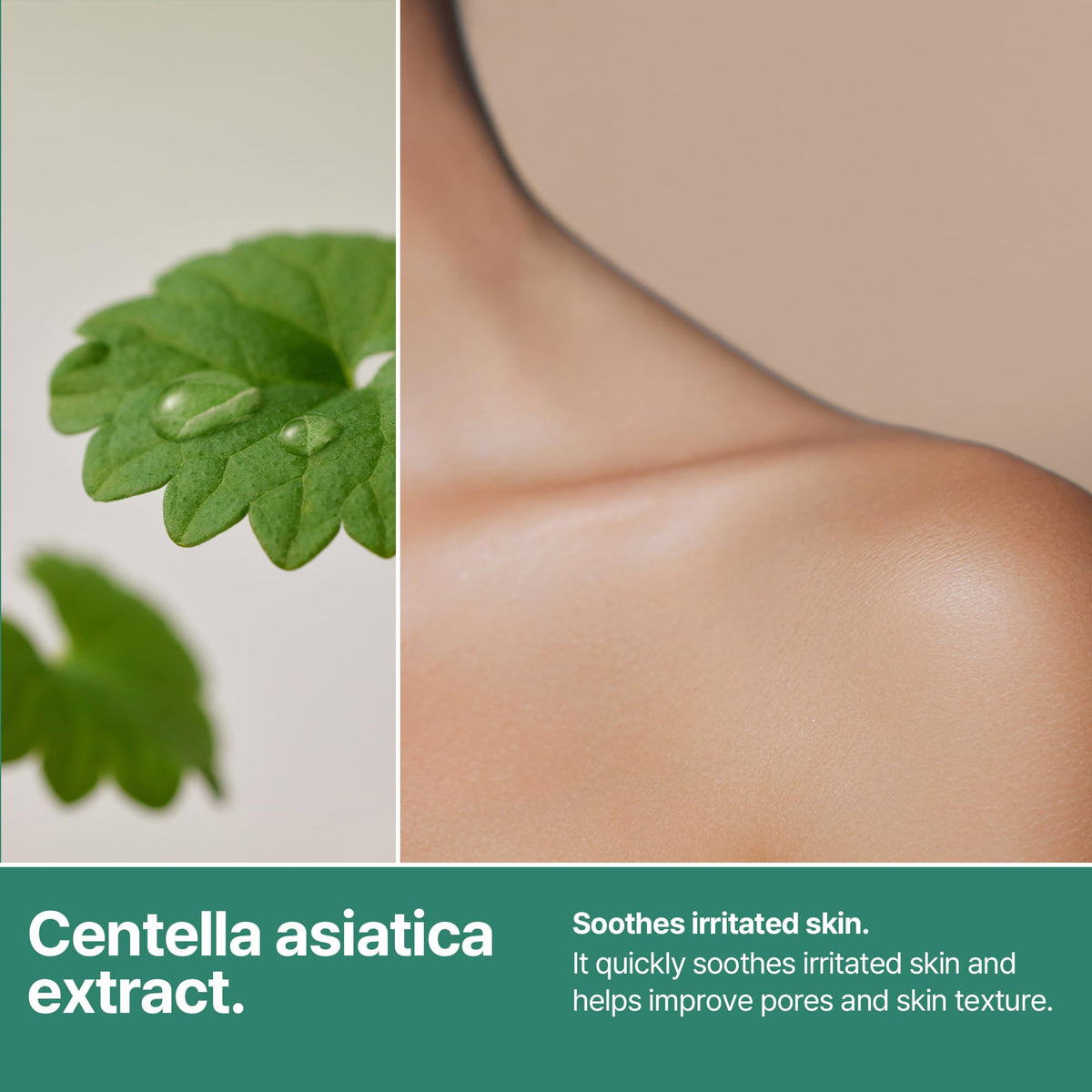 SOME BY MI tea tree leaf close-up illustrating calming ingredient