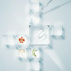 SOTHYS rowan berries and peptides visual highlighting botanical firmness benefit