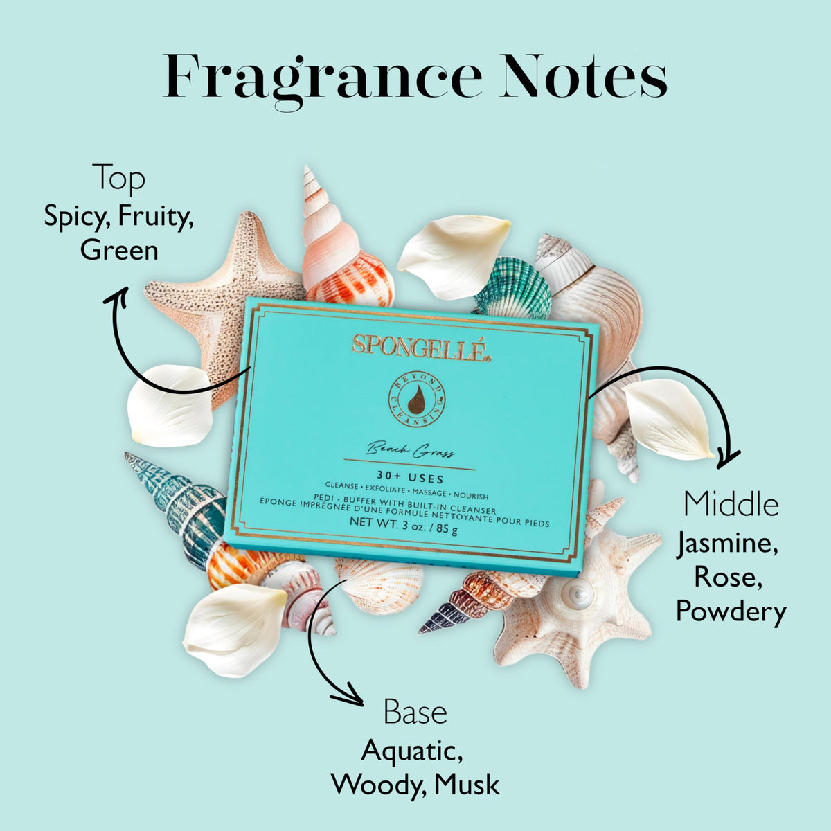 SPONGELLÉ cutaway showing soap core and gradual lather release benefit