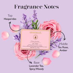 SPONGELLÉ producing creamy lather to cleanse and moisturize