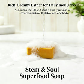 Stem and Soul soap bar close-up texture highlighting smooth lather-ready surface