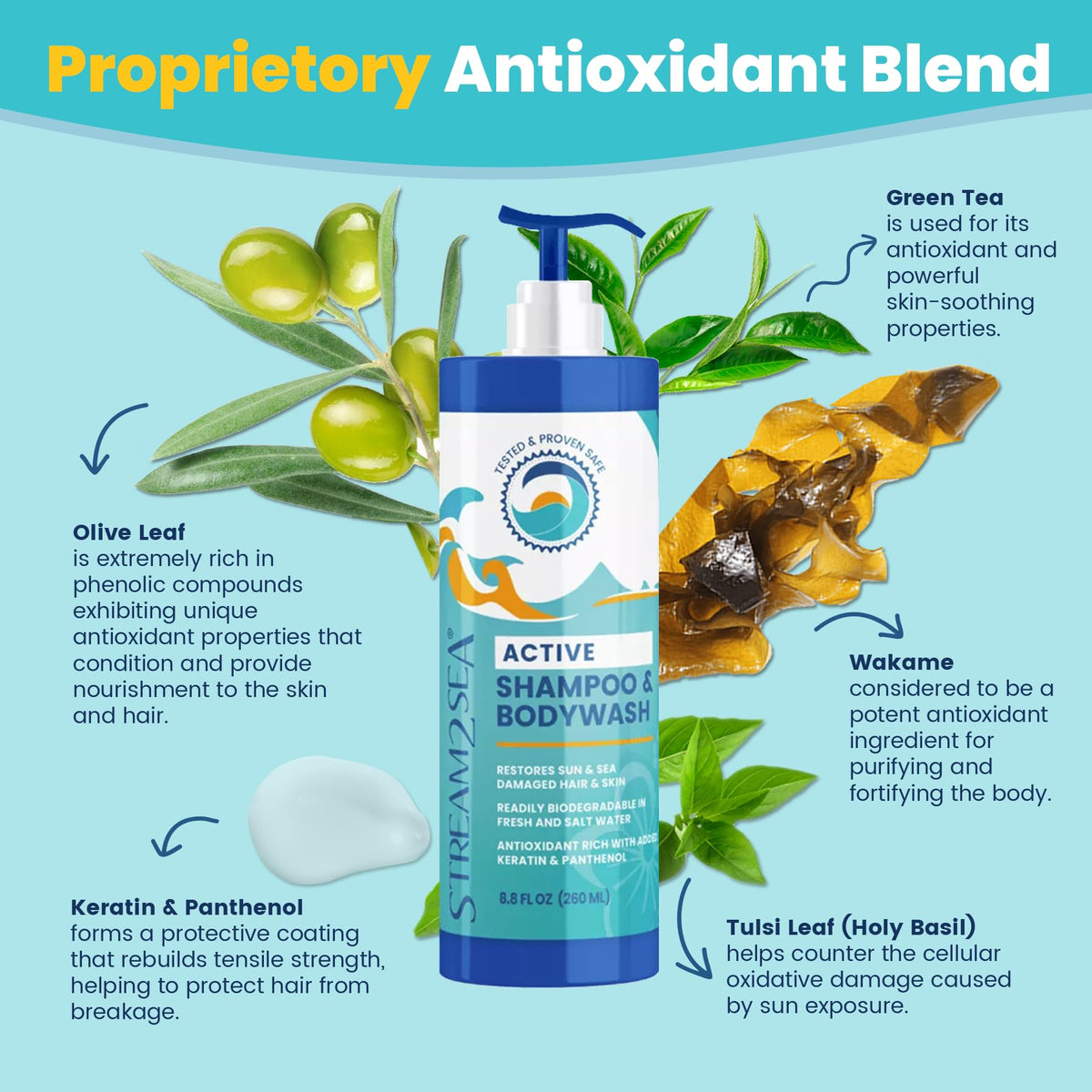 STREAM 2 SEA botanical ingredients display highlighting antioxidant blend