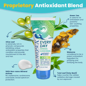 STREAM 2 SEA ingredient label highlighting zinc oxide and botanical extracts