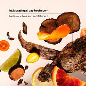 Suave Citrus Rush lifestyle bathroom display promoting tidy, minimalist grooming