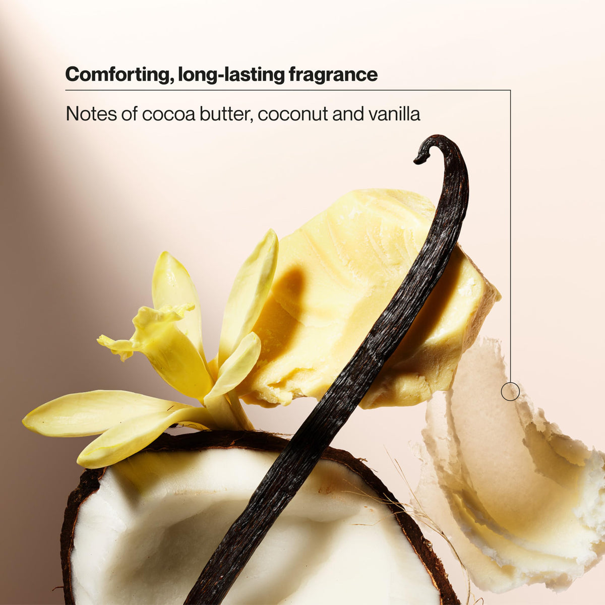 Suave cocoa beans and shea butter ingredients displayed, nourishing benefit