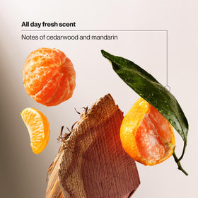 Cedarwood and mandarin ingredients concept image with Suave for scent benefit