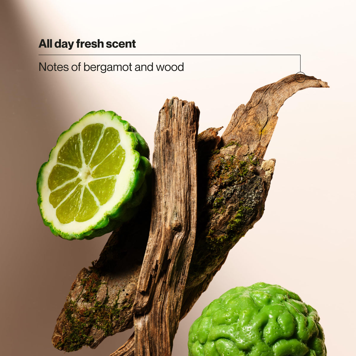 Visual of bergamot and wood elements representing Suave scent