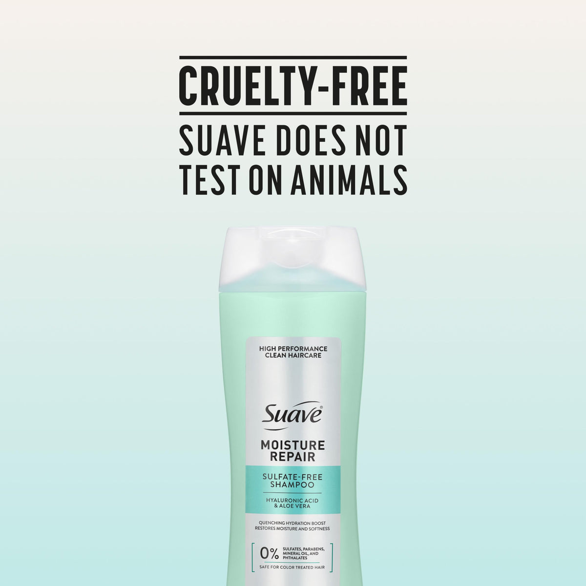 Aloe leaf close-up highlighting Suave aloe vera comfort and soothing benefits