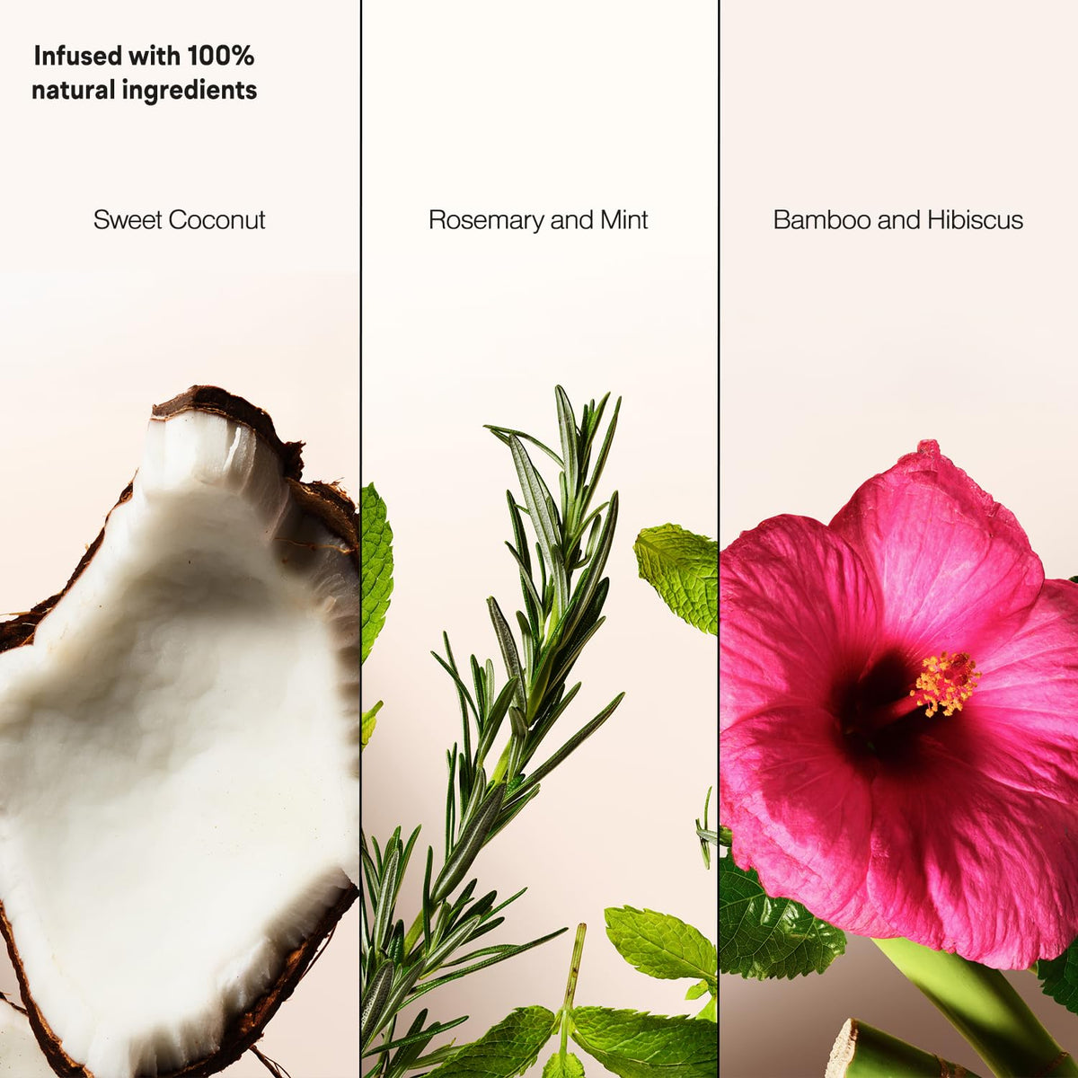 Suave Sweet Coconut in a beach bag conveying fresh tropical scent