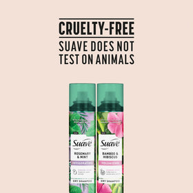 Suave cans next to travel items illustrating portable on-the-go use
