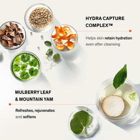 Sulwhasoo duckweed ingredient visual highlighting soothing benefits