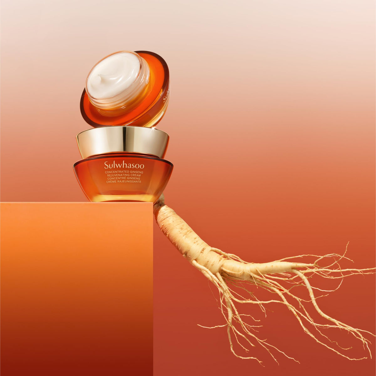 Korean ginseng root beside Sulwhasoo jar illustrating ingredient heritage benefit: ginseng-powered resilience