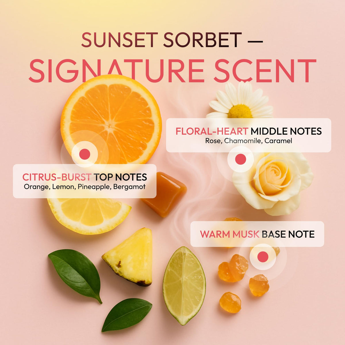 SUNATORIA label close-up showing vegan, sulfate-free ingredient highlights