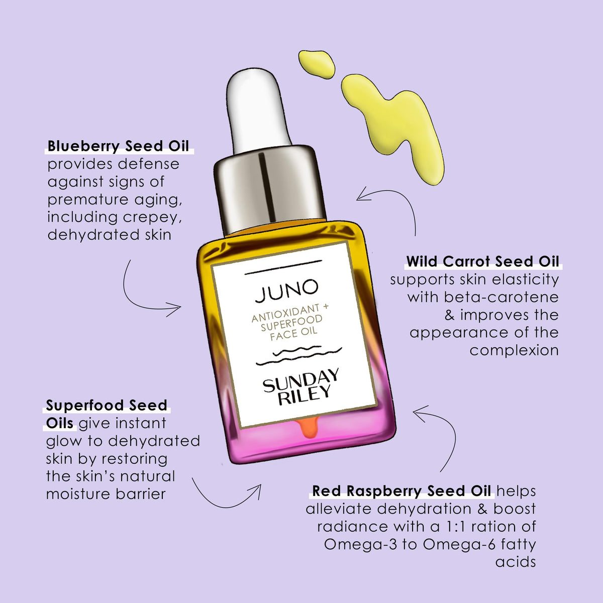 Sunday Riley Juno arrangement of seed oils illustrating antioxidant-rich superfood ingredients