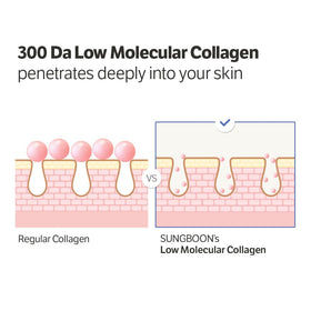 SUNGBOON EDITOR low-molecular collagen detail showing deep-hydration benefit