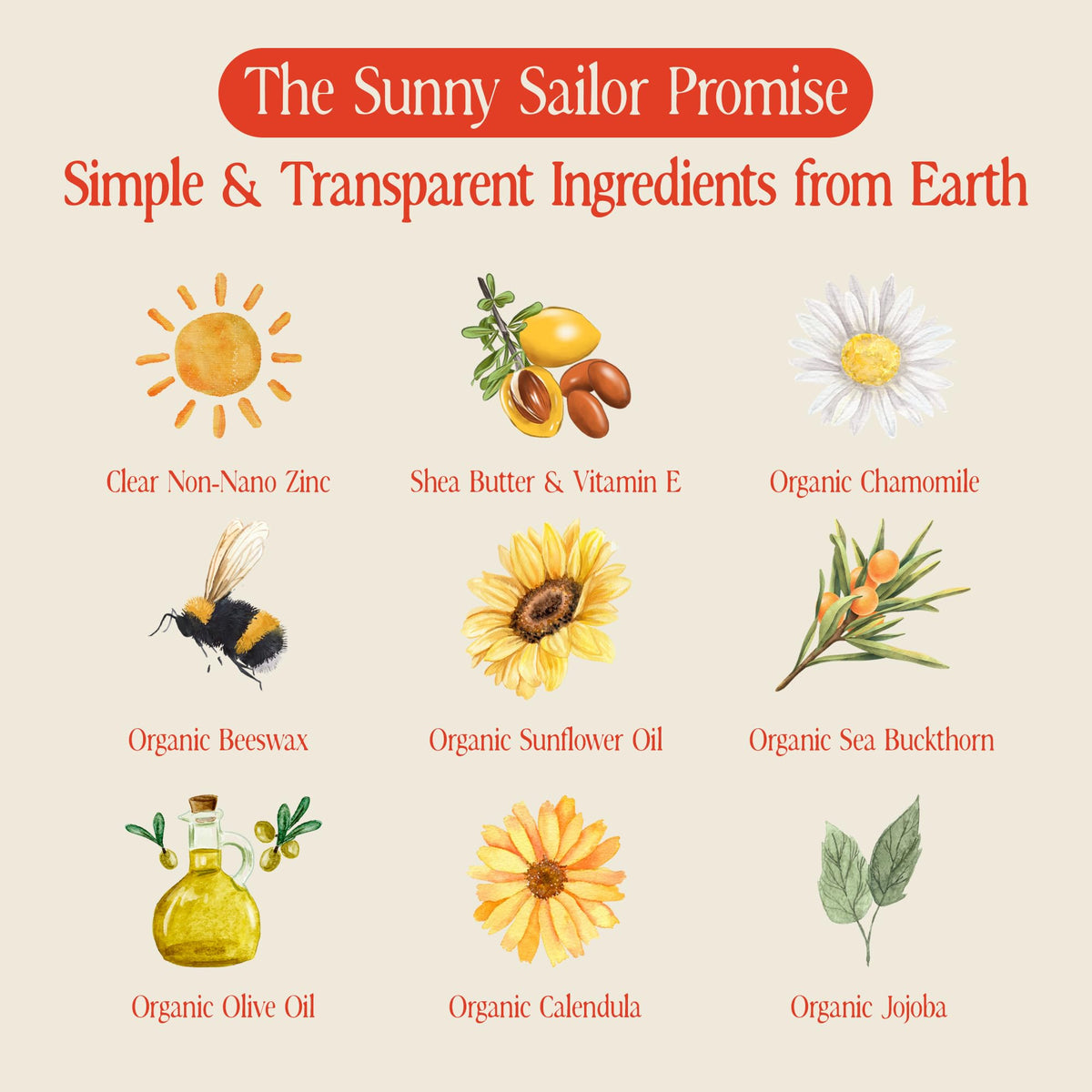Sunny Sailor ingredient label closeup highlighting organic and reef-safe benefits