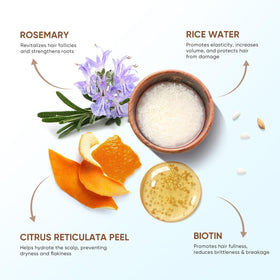 Svvimer botanical ingredients flatlay highlighting rice water and rosemary