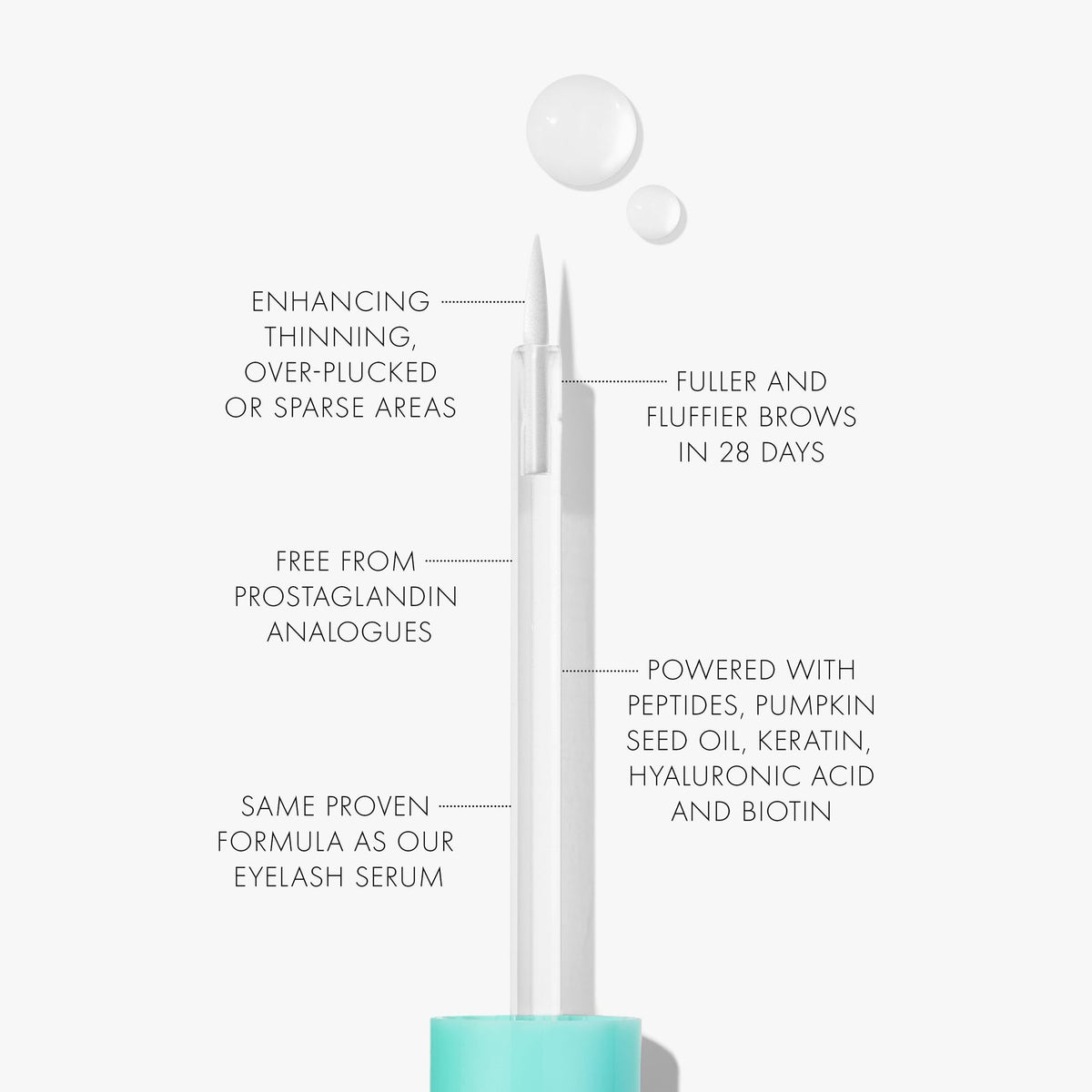 SWEED brow serum ingredients flatlay with pumpkin seed oil and biotin for nourishing benefits