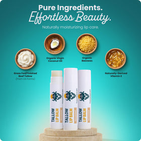 Tallowbourn coconut oil ingredient shot highlighting organic emollient and hydration